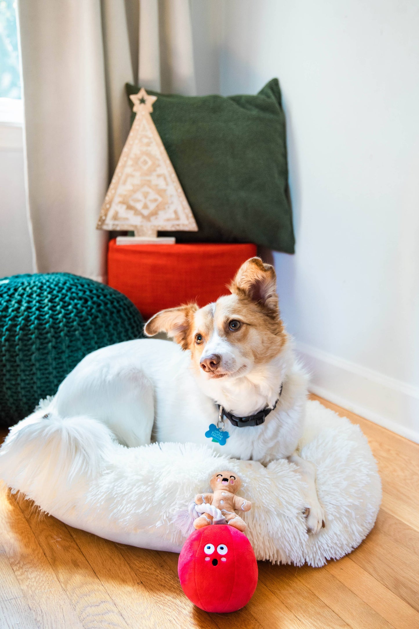 Wrecking Bauble Christmas Dog Toy