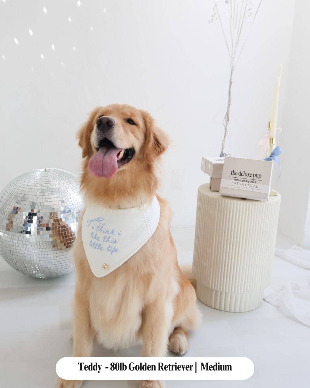 Little Life Dog Bandana