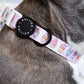 Ice Cream Dog Collar