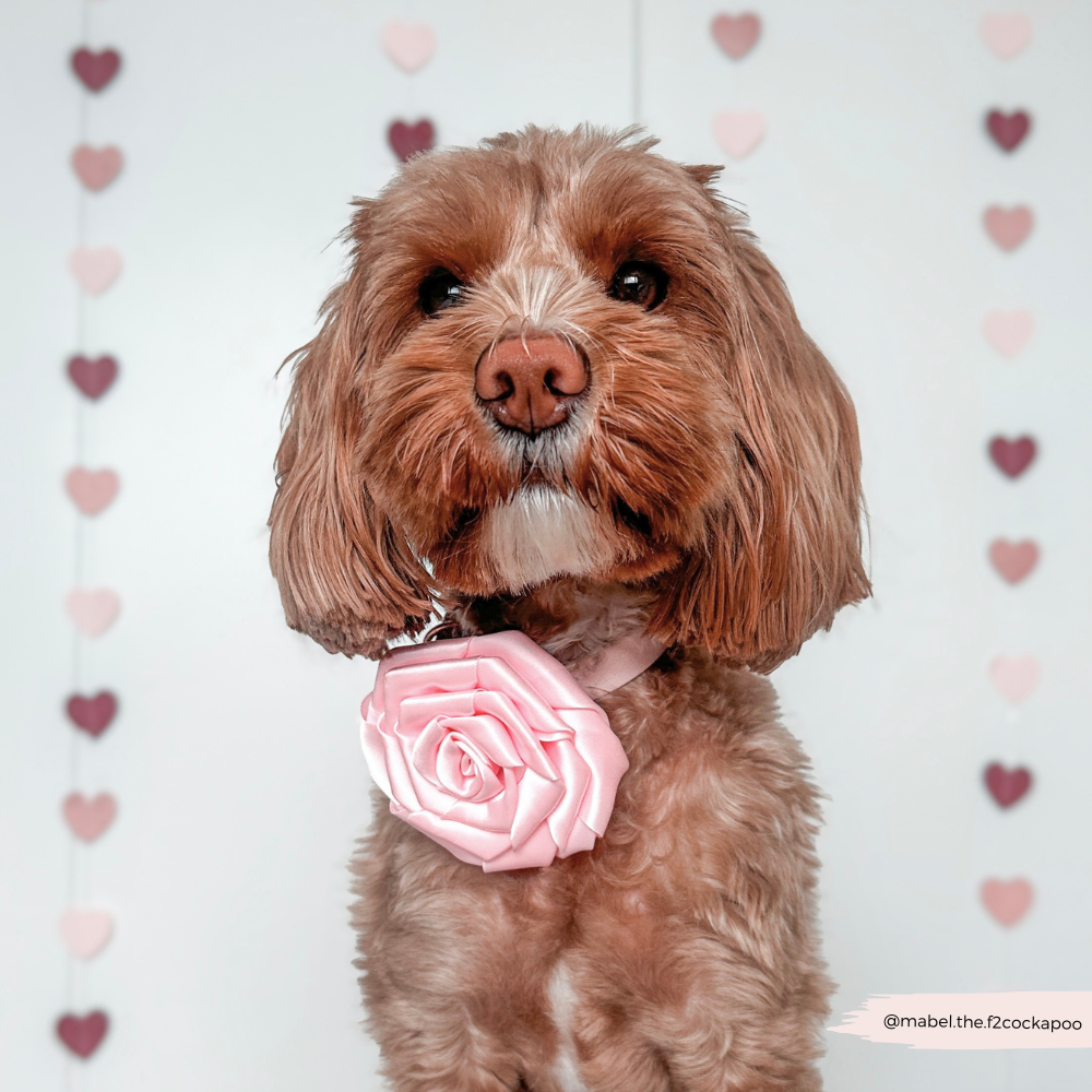 Pink Rose Collar Flower