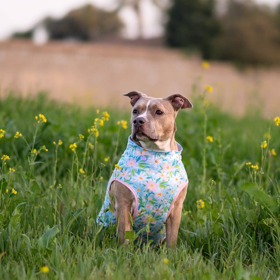 Springtime Snuggle Blooms Muscle Tee