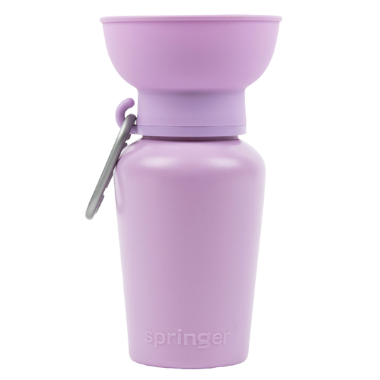 Flip Dog Travel Bottle 20oz - Assorted Colors