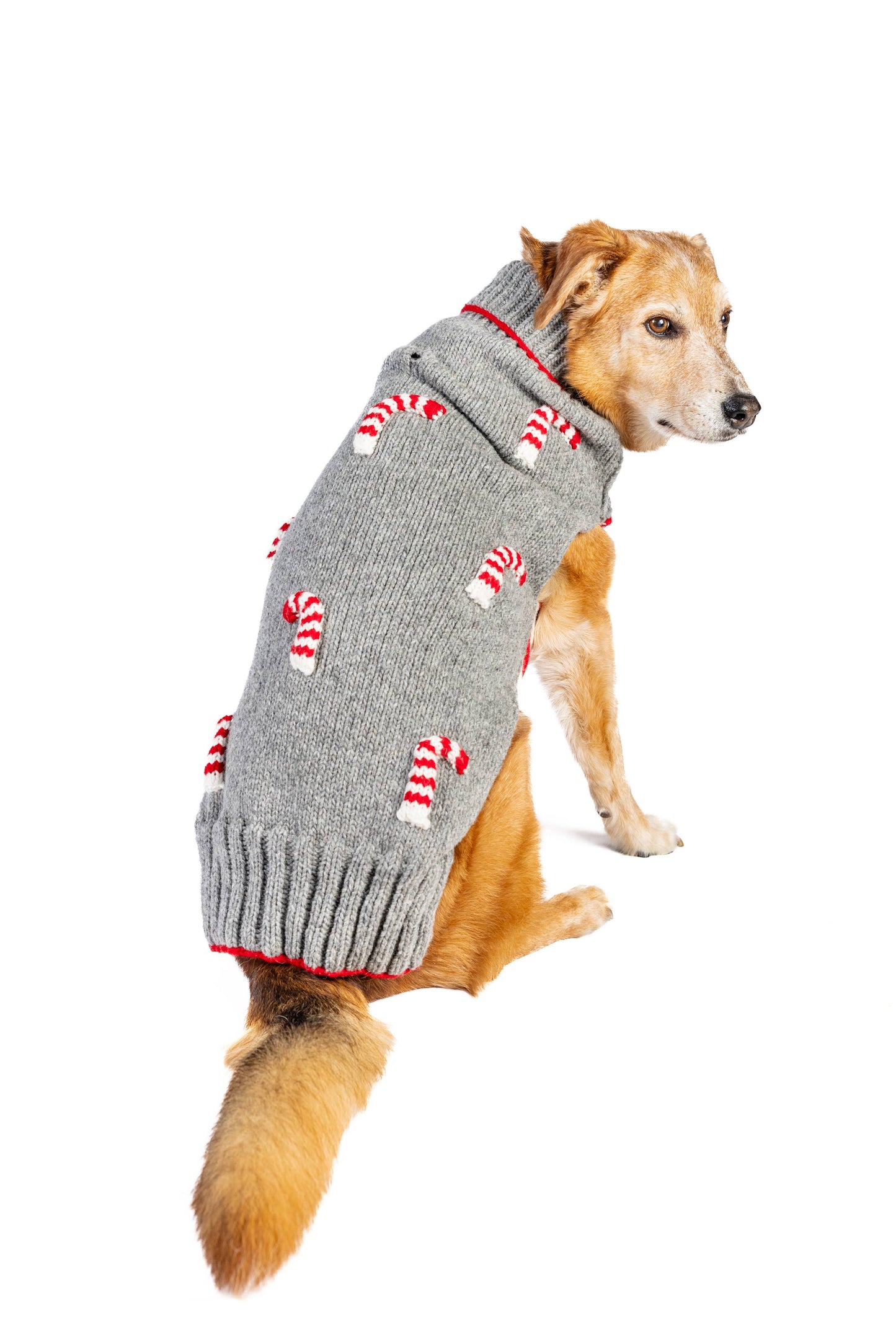 Candy Cane Knit Dog Sweater