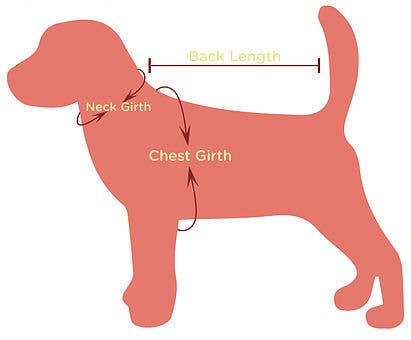 Holiday Dog Dress - The Nutcracker Princess