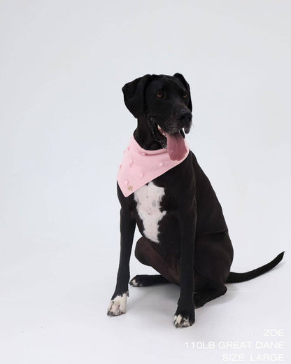 Magnolia Dog Bandana