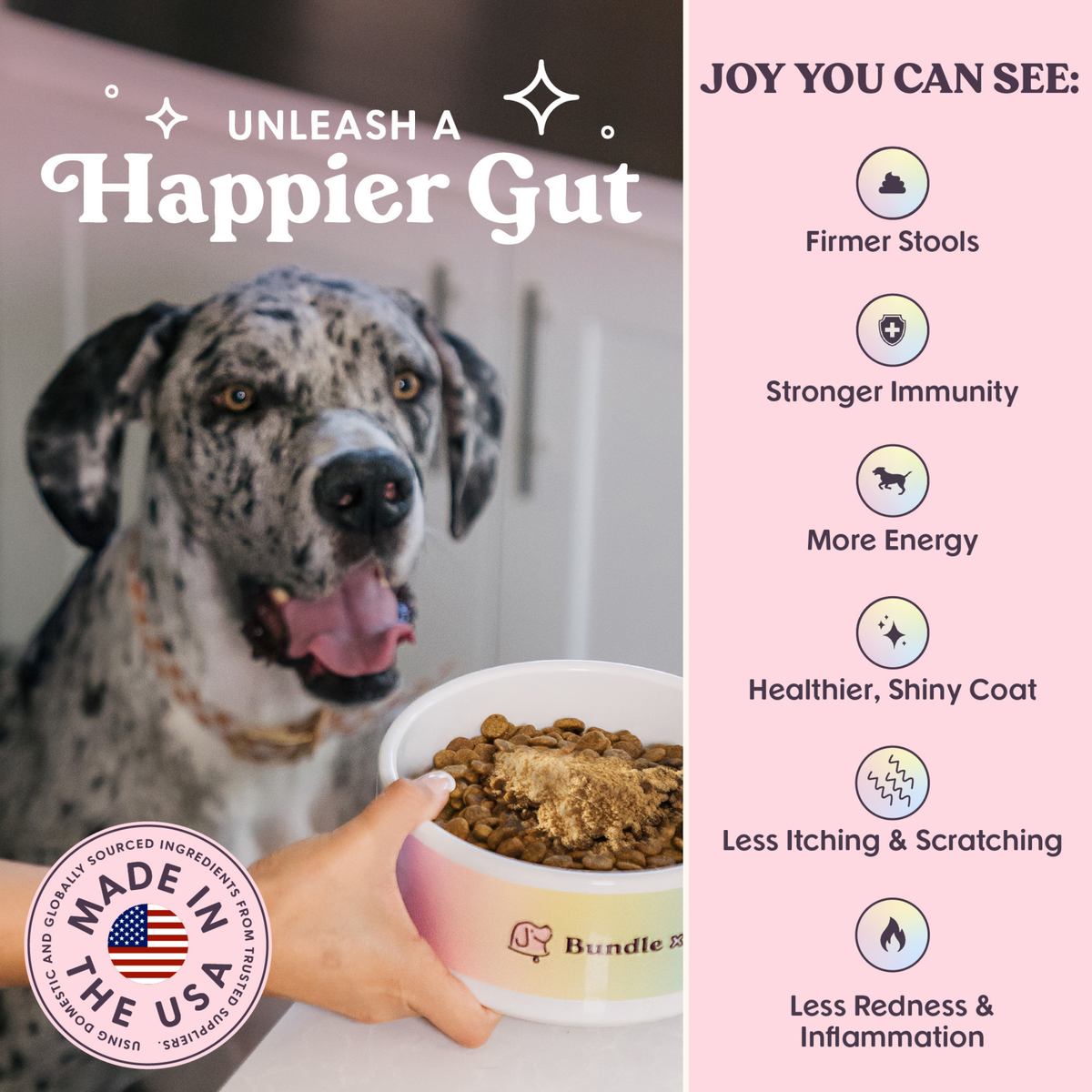 Pumpkin & Superfoods Daily Boost Powder | Digestive Support