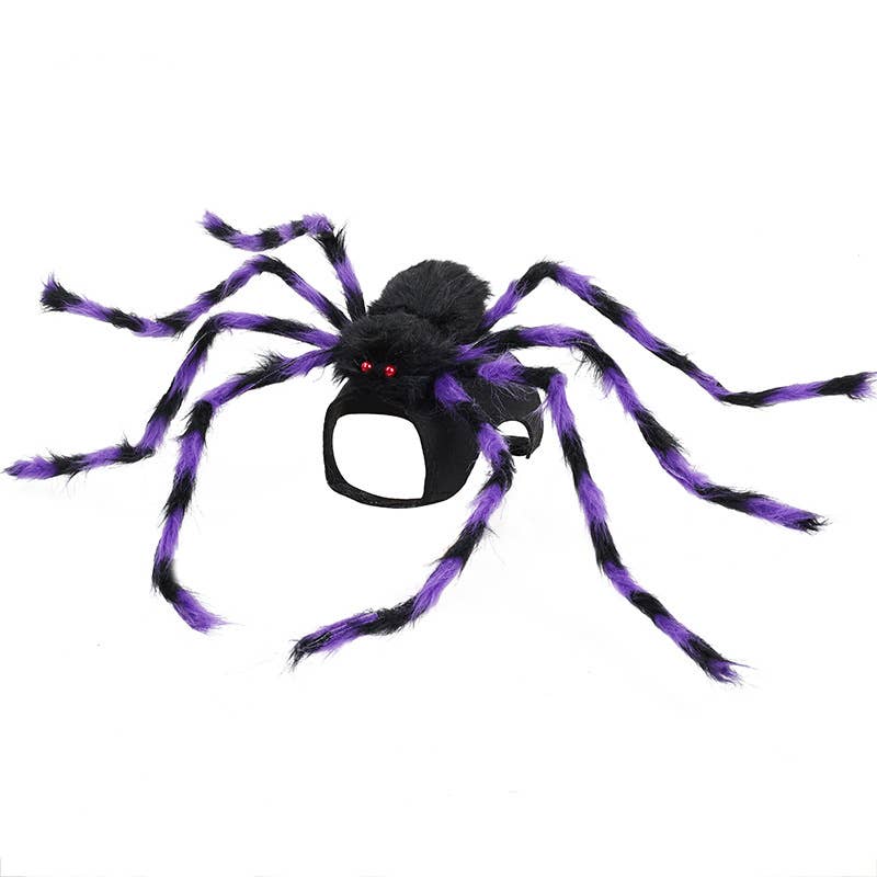 Spider Dog Costume