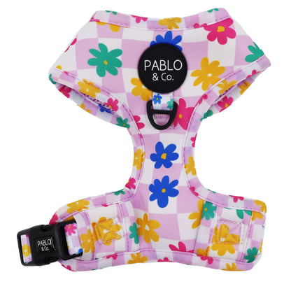 Delightful Daisies Adjustable Dog Harness