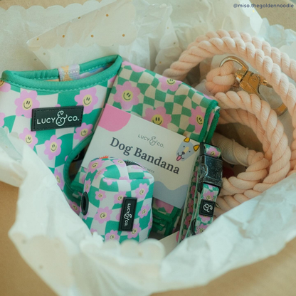 Just Chill Reversible Dog Harness