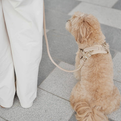 Rover Dog Harness