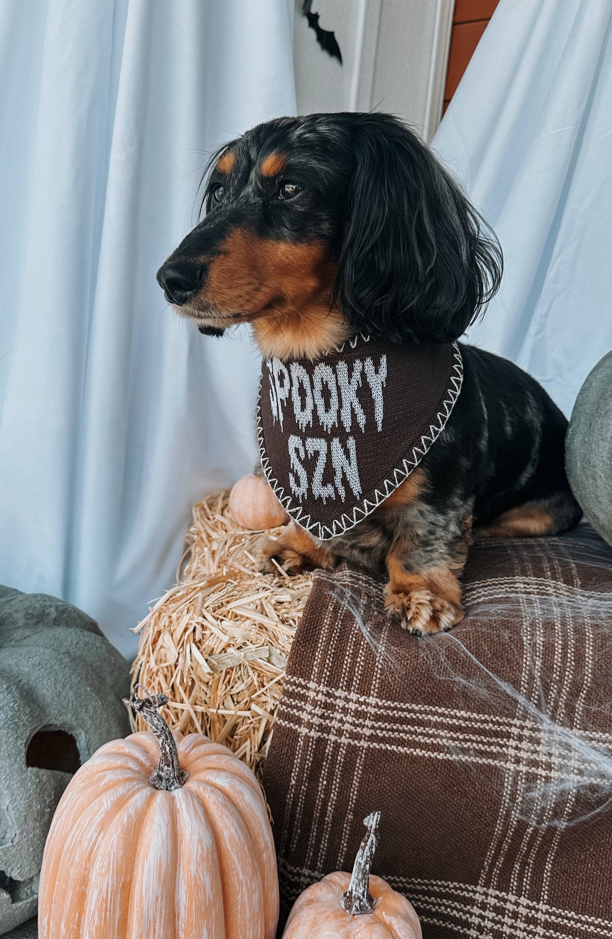 Spooky Szn Reversible Knit Bandana