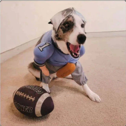 Disfraz de perro de Halloween de QuarterBark