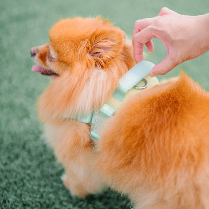 Jelly Dog Harness - Cream Soda