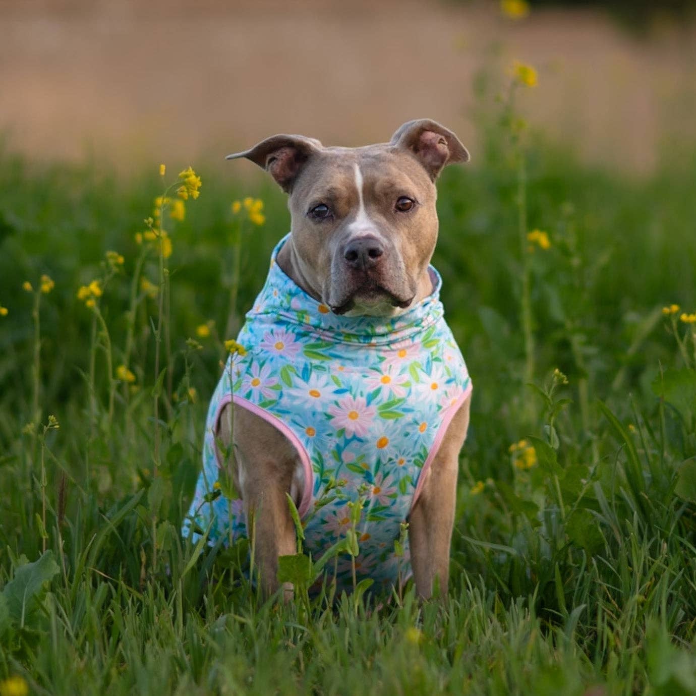 Springtime Snuggle Blooms Muscle Tee