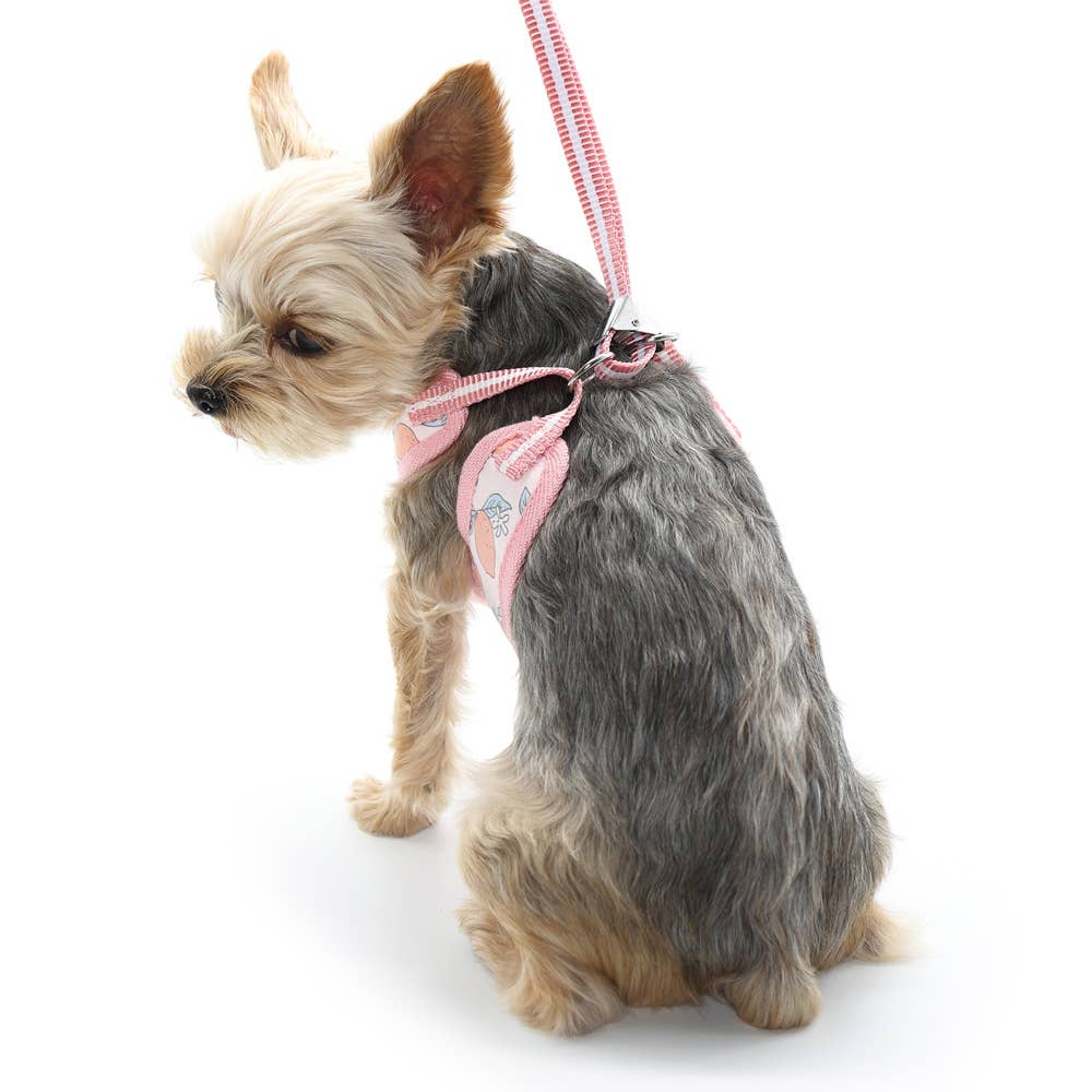 EasyGO Dog Harness Lemon Pink