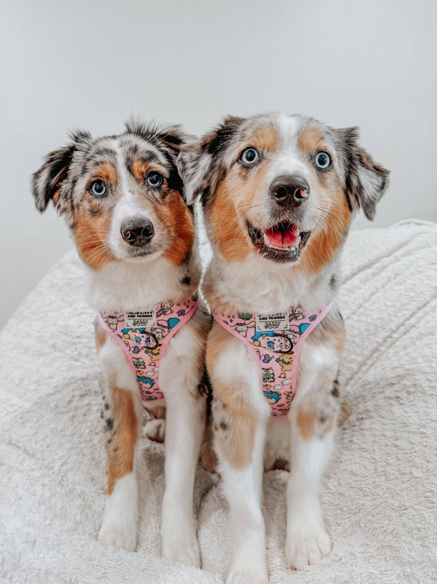 Hello Kitty® & Friends Flower Festival Dog Adjustable Harness