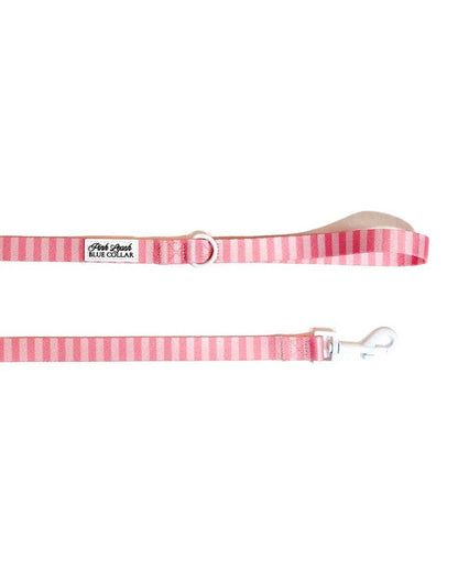 Pink on Pink Striped Leash