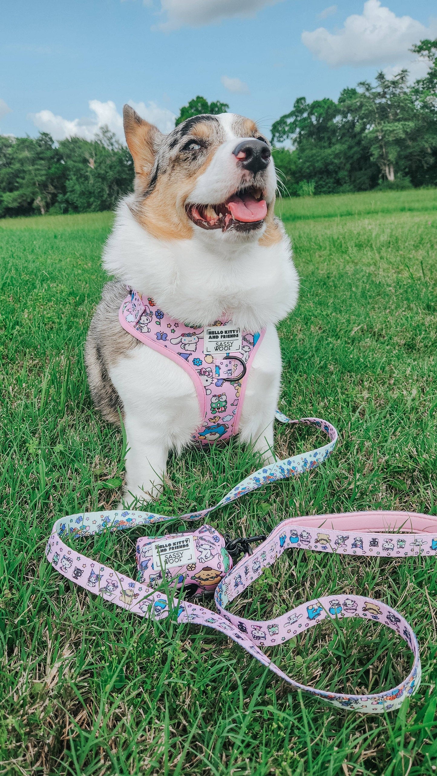 Hello Kitty® & Friends Flower Festival Dog Adjustable Harness