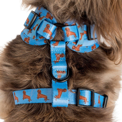 Arnés ajustable para perros Dachshund