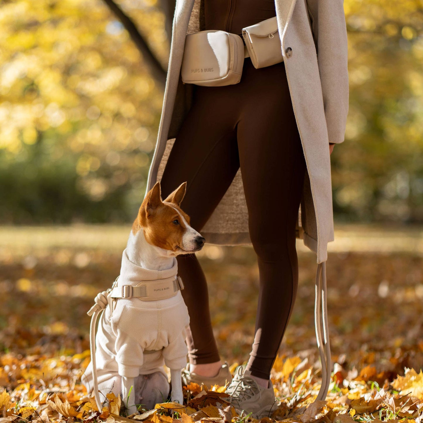 Rover Dog Harness