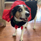 Count Woofula Halloween Dog Costume