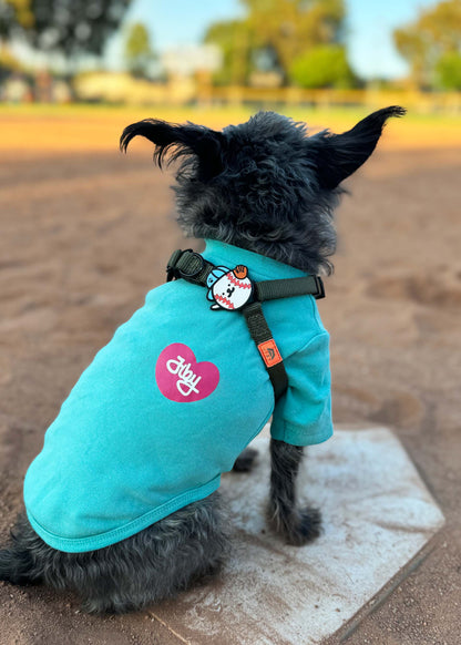 Baseball Dog Jiby