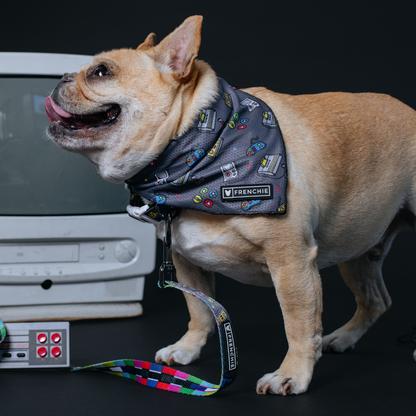 Frenchie Cooling Bandana - Gamer