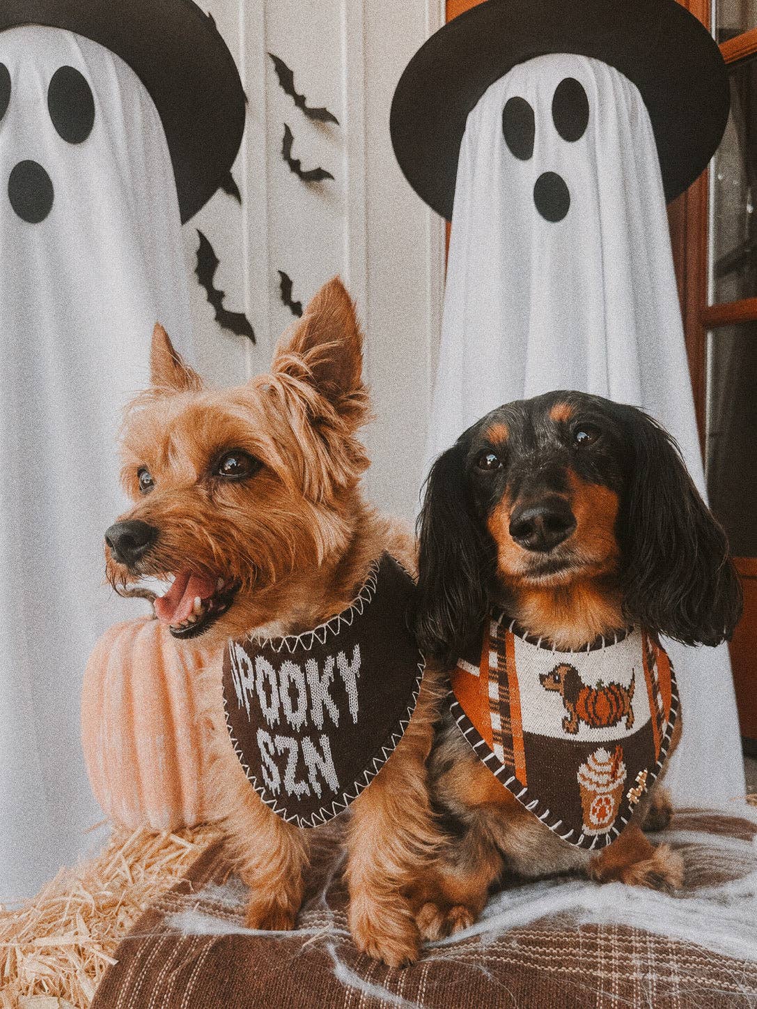 Spooky Szn Reversible Knit Bandana