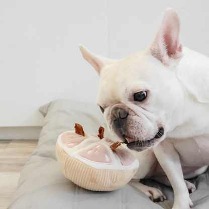 Juego de juguetes para perros con sabor a pomelo y juguete para olfatear