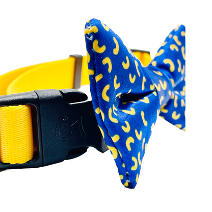 Mac and Cheese Blue Dog Bow Tie