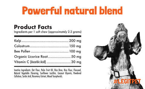 Allergy Immune Chews for Dogs