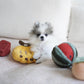 Fruit Enrichment Dog Set