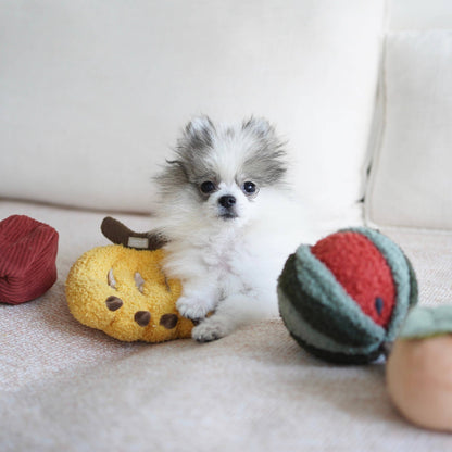 Juguetes para perros con frutas enriquecedoras: frutas variadas