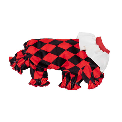 Harlequin Clown Dog Costume