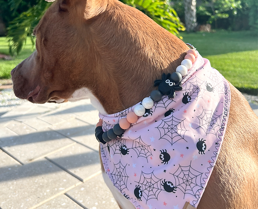 Creepy Crawly Spiders Beaded Dog Collar