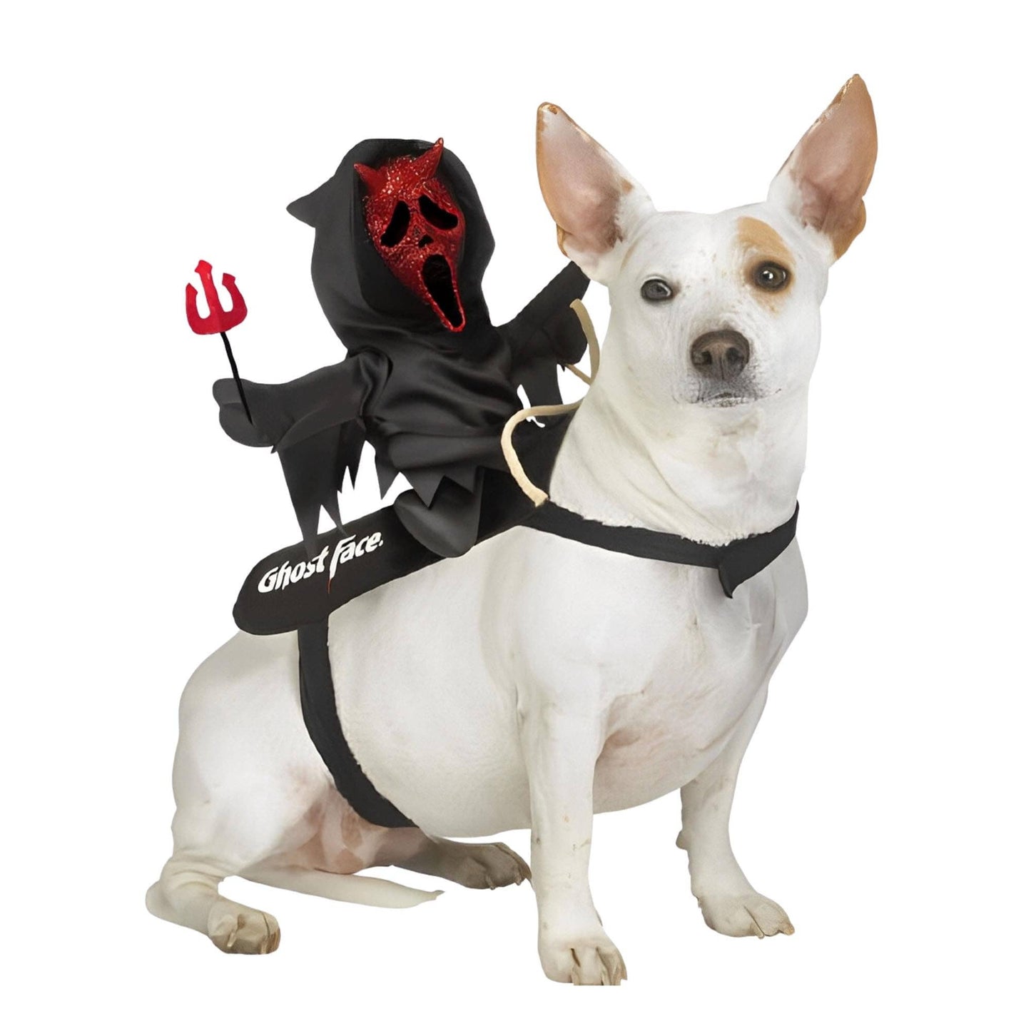 Ghost Face Devil Rider Pet Costume