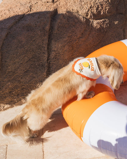 La Dolce Vita Dog Bandana