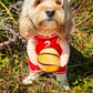 The Ball Hog Halloween Dog Costume