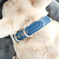 Signature Dog Collar & Leash Set - Navy