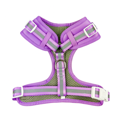 Shine Bright - Amethyst Adjustable Dog Harness