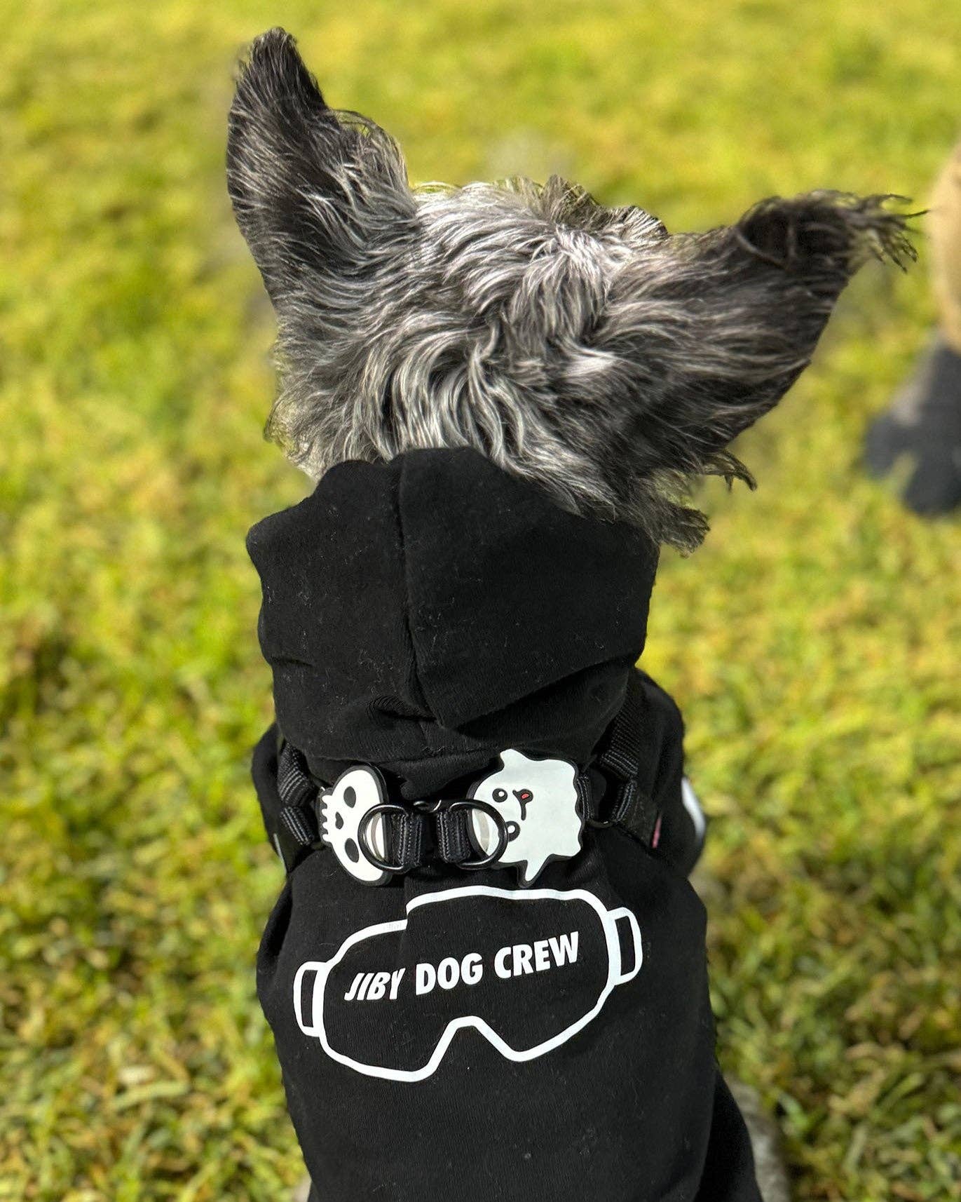 Skull Dog Jiby