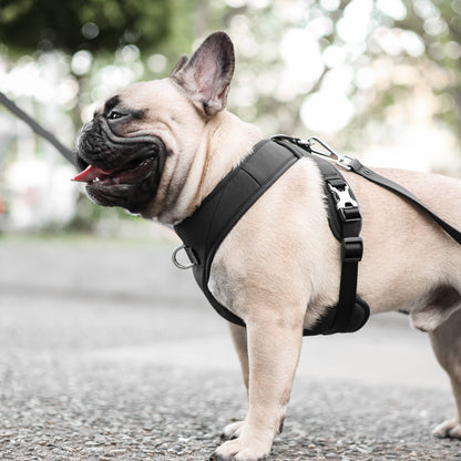 Roam Luxe Dog Harness Black
