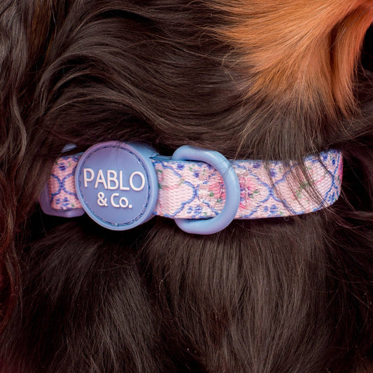 Petal Collar