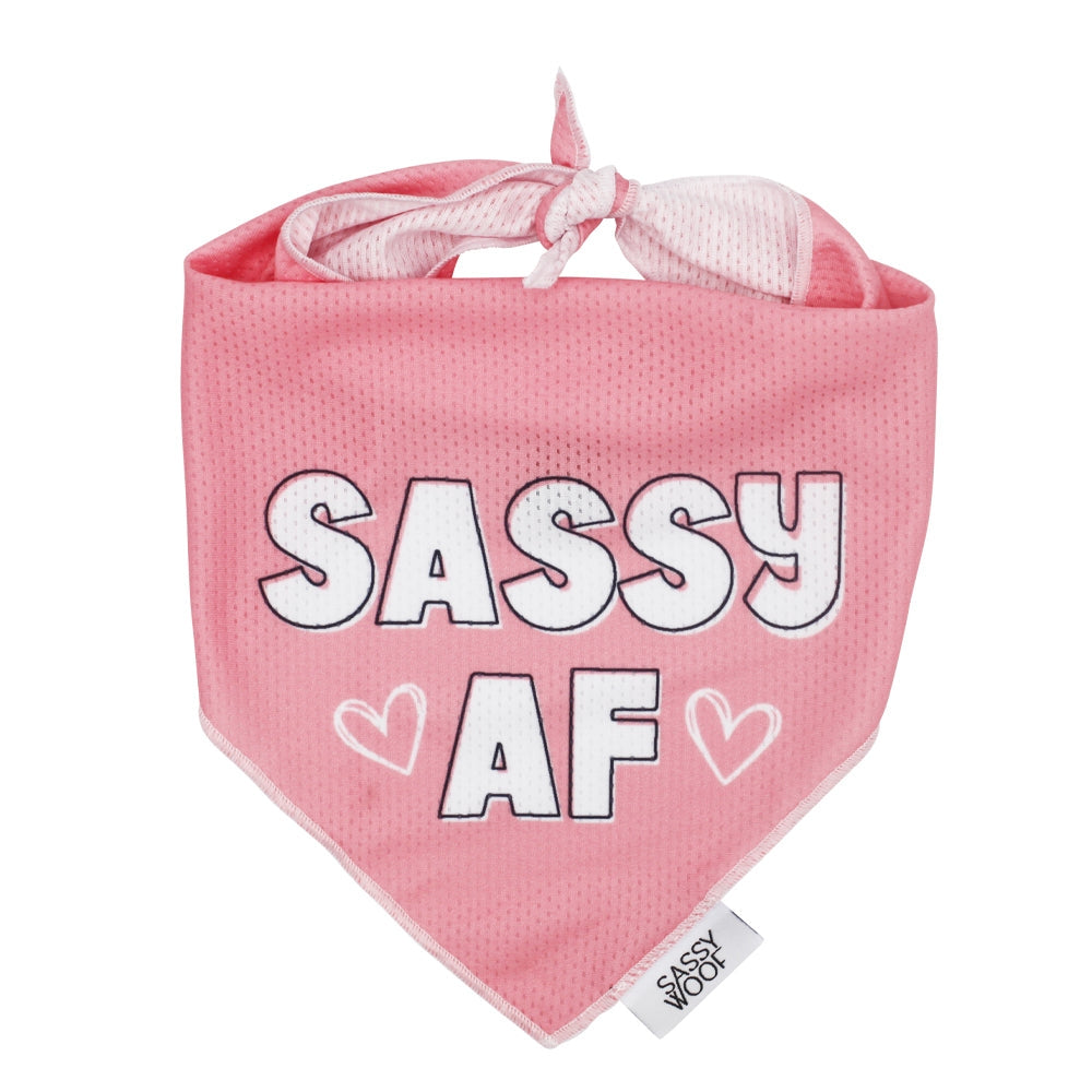 Sassy AF - Cooling Dog Bandana