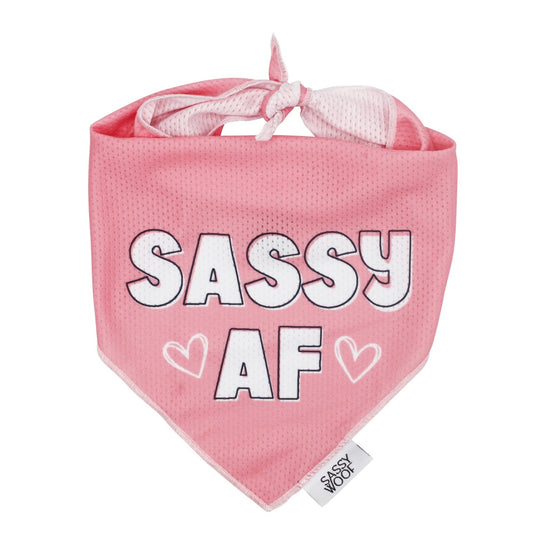 Sassy AF - Cooling Dog Bandana