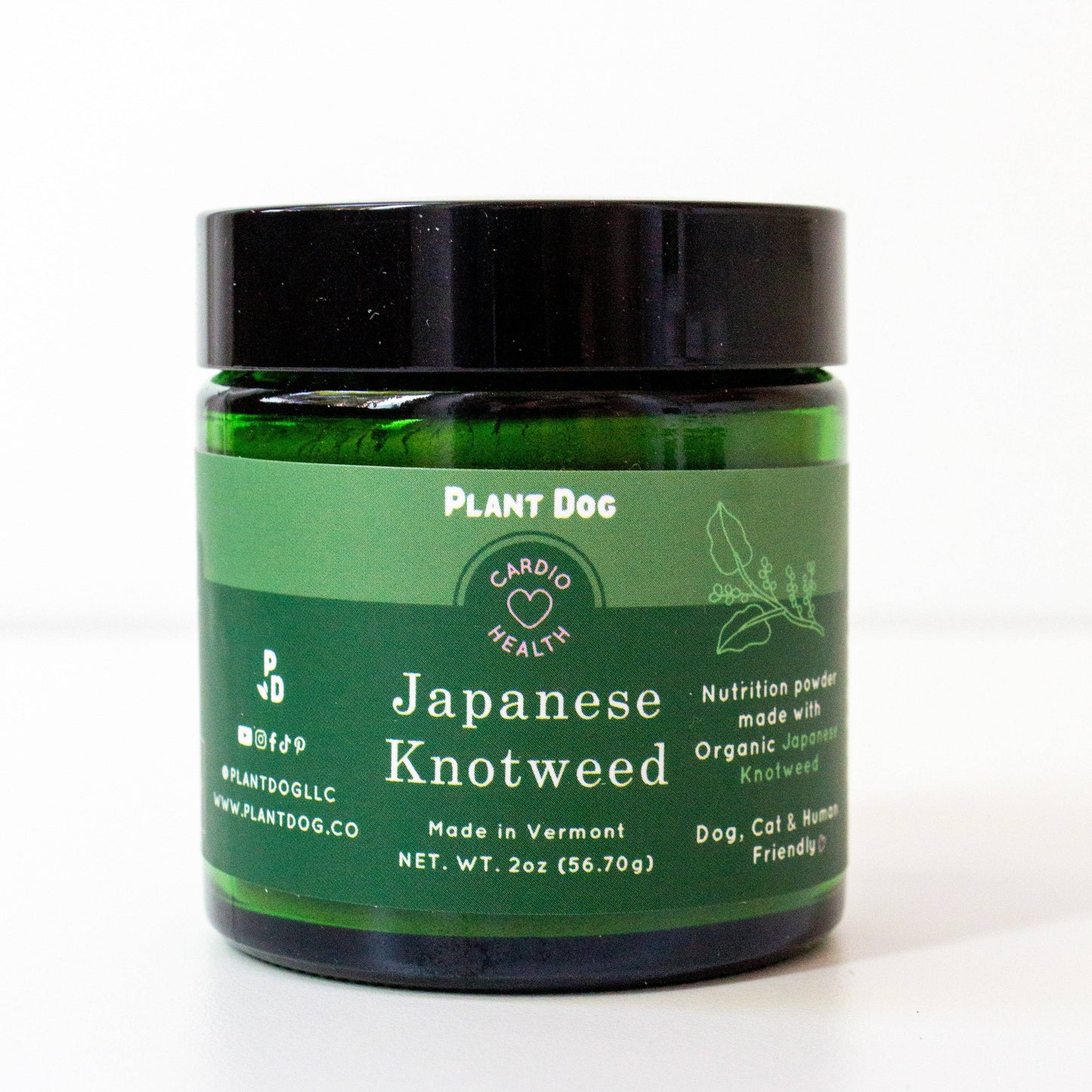 Japanese Knotweed Powder