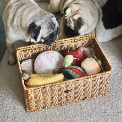 Juego de juguetes para perros con sabor a pomelo y juguete para olfatear