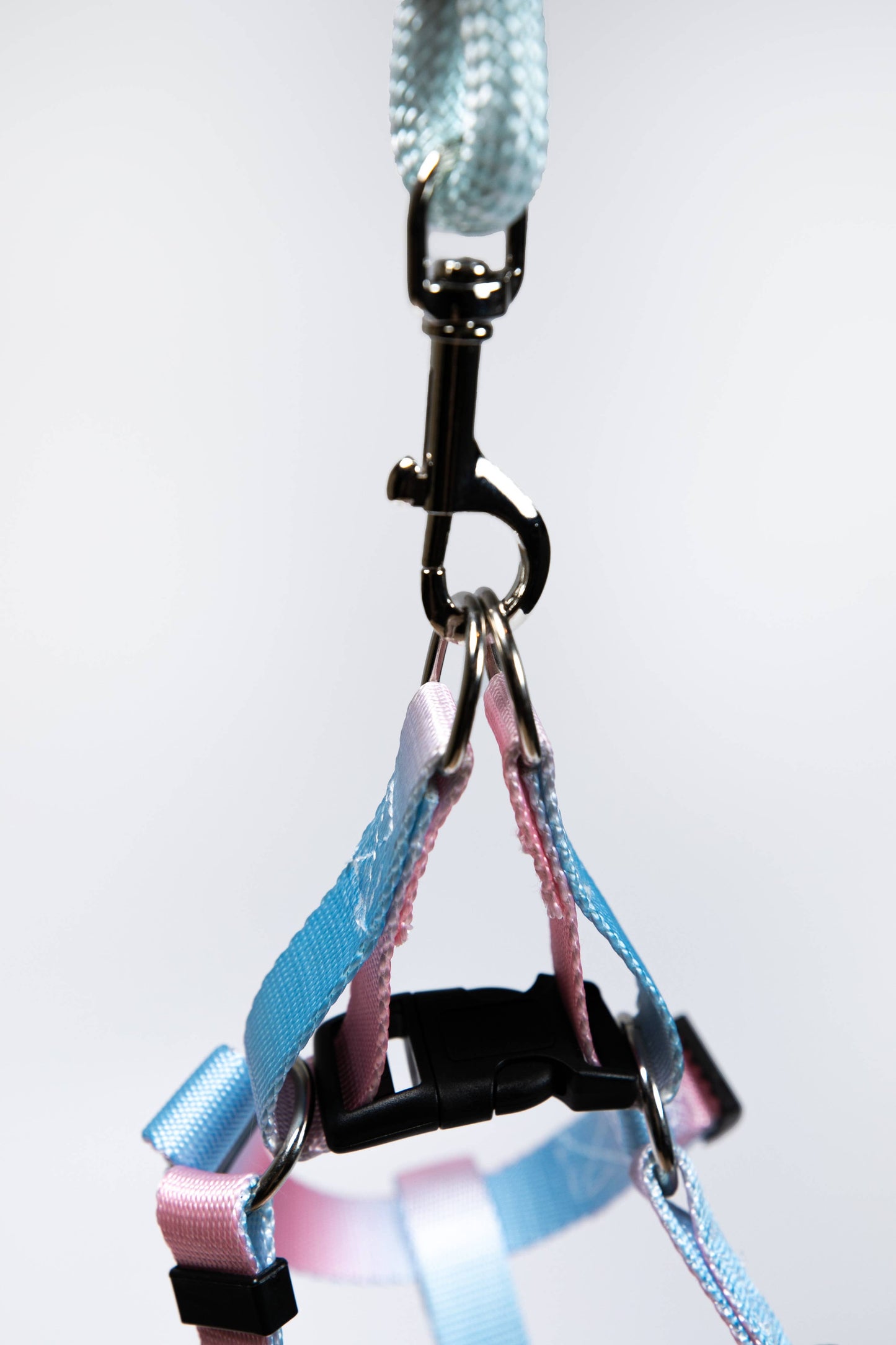 Gradient Pink/Blue Walk Kit Leash and Harness