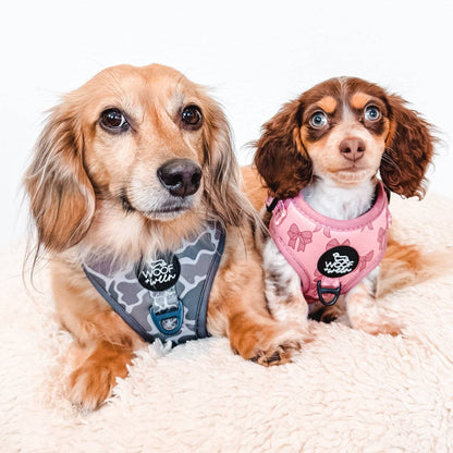 Adjustable Dog Harness - Pink Coquette
