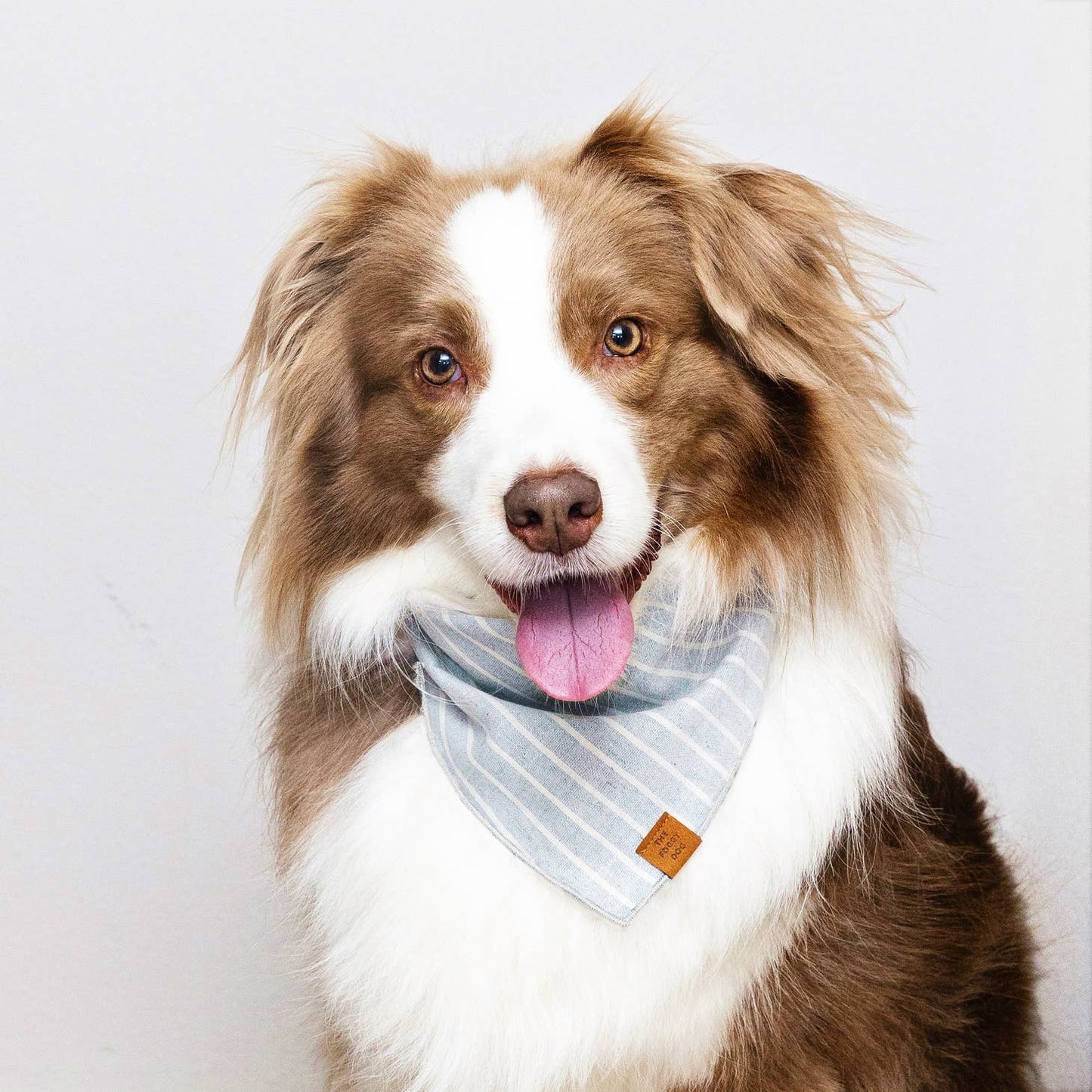 Upcycled Denim Stripe Sustainable Dog Bandana